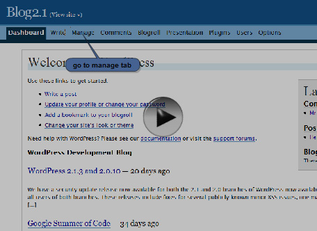 wordpress